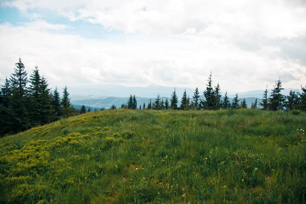 Góry karpaty — Zdjęcie stockowe