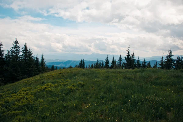 Góry karpaty — Zdjęcie stockowe