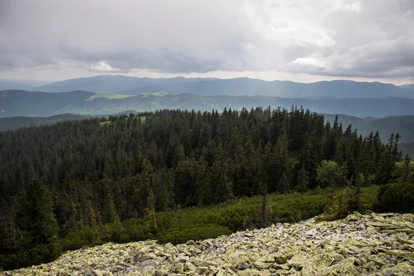 Góry karpaty — Zdjęcie stockowe