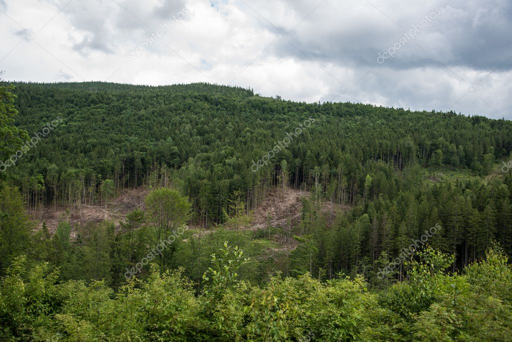 Ukrainian Carpathian Mountains
