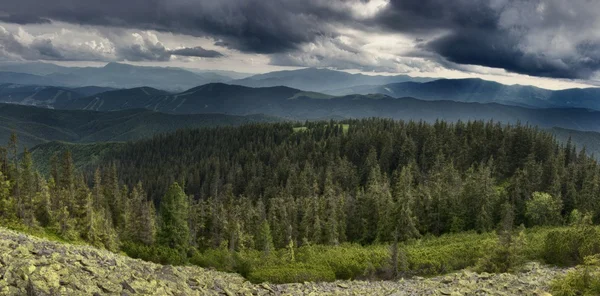 Karpaterna berg — Stockfoto