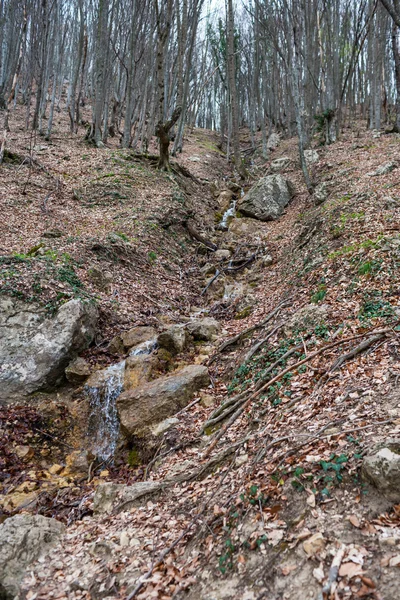 Piccolo torrente di montagna — Foto Stock