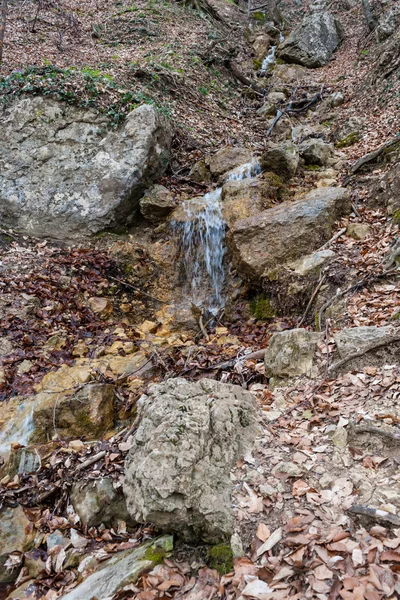 Pequeño arroyo de montaña — Foto de Stock