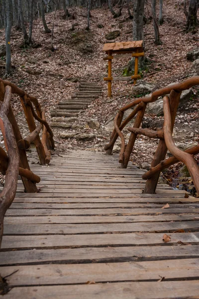 Деревянные лестницы покрывают лесную тропинку — стоковое фото