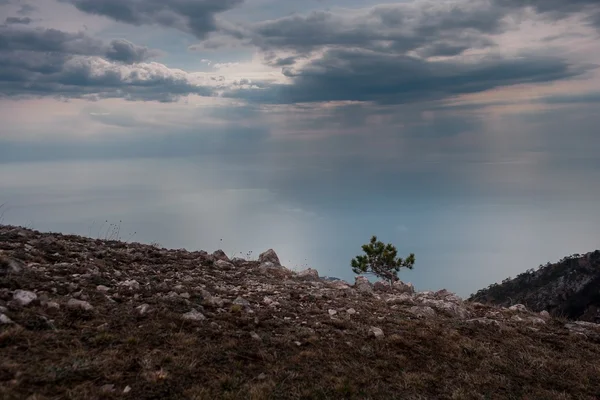 Ai-Petri Crimea paisaje — Foto de Stock