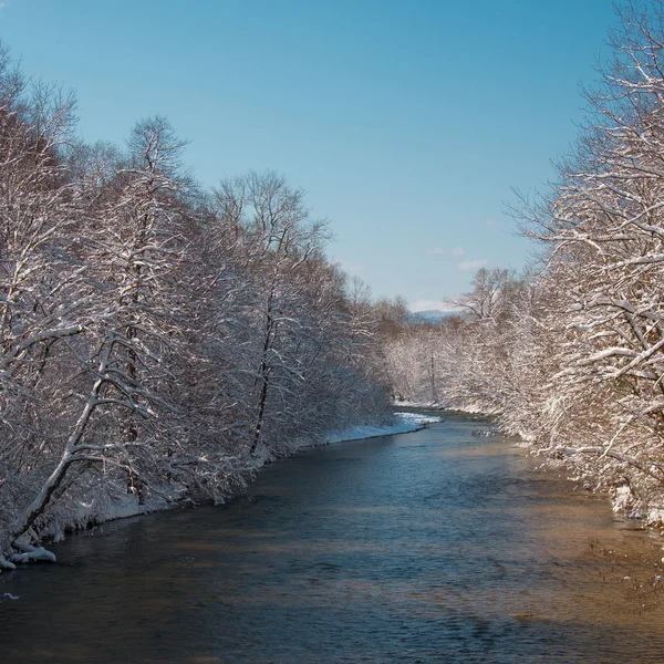 Winter landscape — Stock Photo, Image