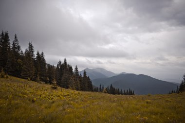 Karpatlar dağlar, Ukrayna