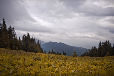 Karpatlar dağlar, Ukrayna