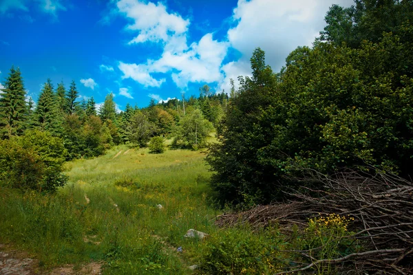 Montagne carpatiche — Foto Stock