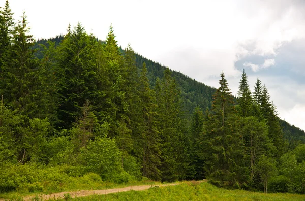 Pohoří Karpaty, Ukrajina — Stock fotografie