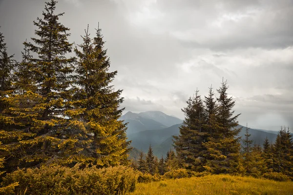 Góry karpaty — Zdjęcie stockowe
