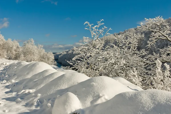 Paisaje invierno — Foto de Stock