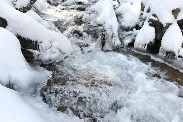 Bergsfloden — Stockfoto