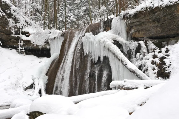 The mountain river — Stock Photo, Image