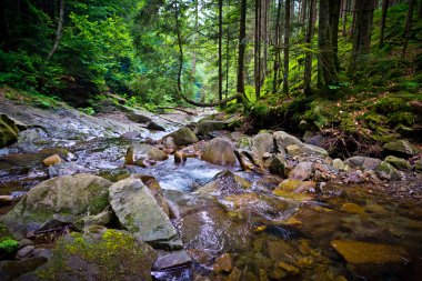 Küçük Karpatya akıntısı