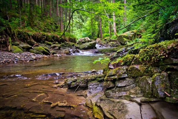 Small Carpathian stream — Stock Photo, Image