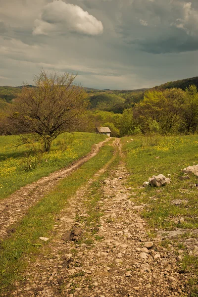 Weg zum Haus — Stockfoto