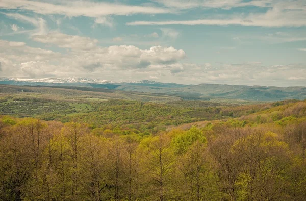 Frühlingslandschaft — Stockfoto