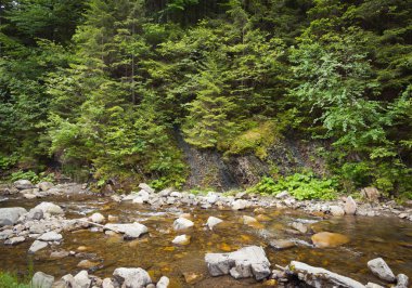 Küçük Karpatya akıntısı
