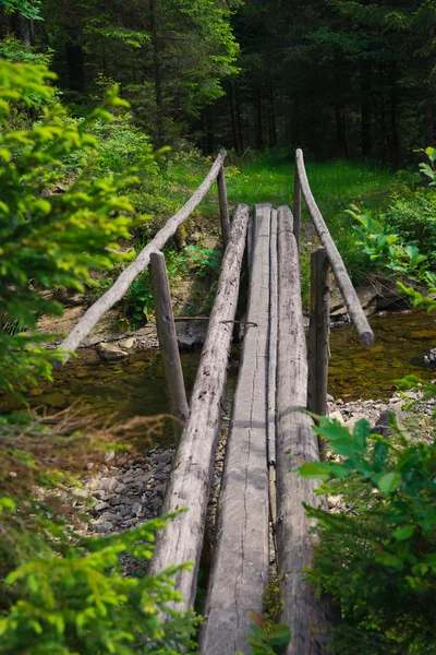 Holzbrücke in den Karpaten — Stockfoto
