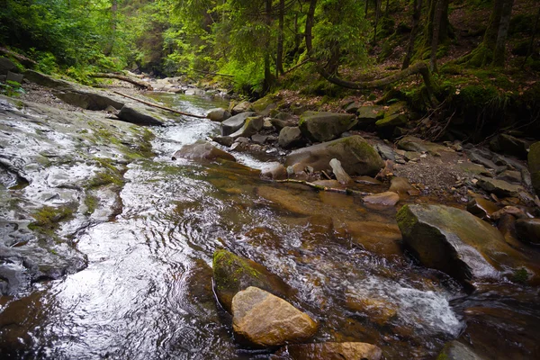 Fiume dei Carpazi — Foto Stock