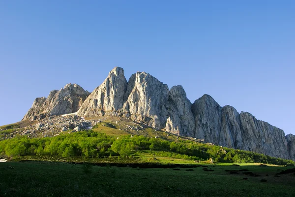 Sommer in den Bergen — Stockfoto