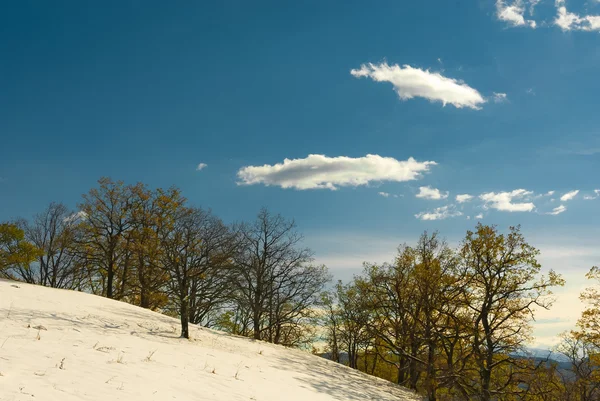 Winter in the mountains — Stock Photo, Image