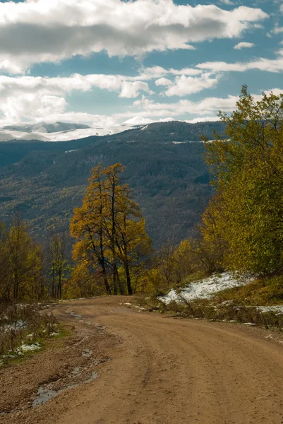 山の中の道路 — ストック写真