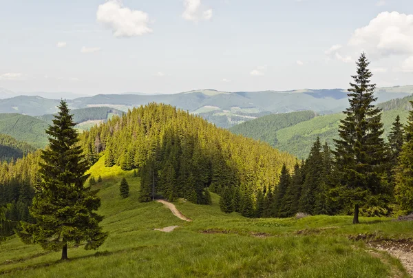 Carpazi montagne — Foto Stock