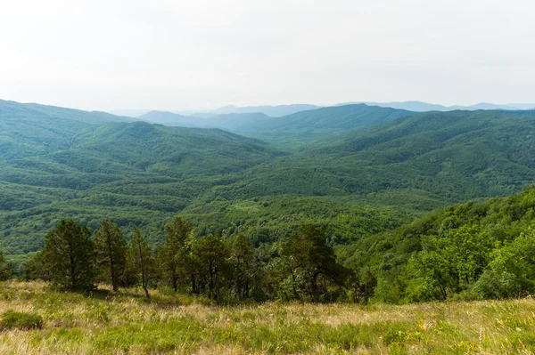 Summer in the mountains — Stock Photo, Image