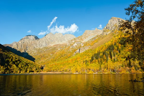 Mountain lake Kardyvach — Stockfoto