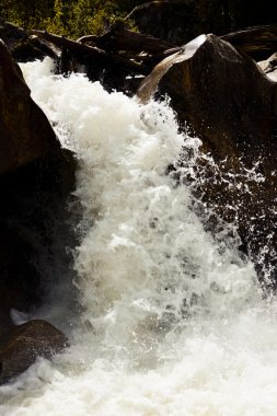 Dağ nehrinde şelale
