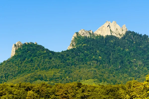 Montañas del Cáucaso —  Fotos de Stock