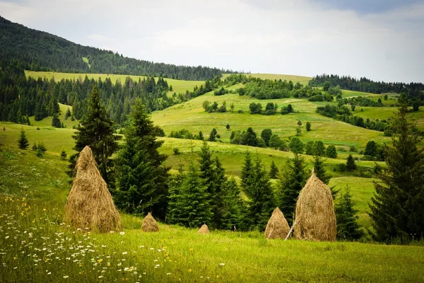 Paesaggio estivo — Foto Stock