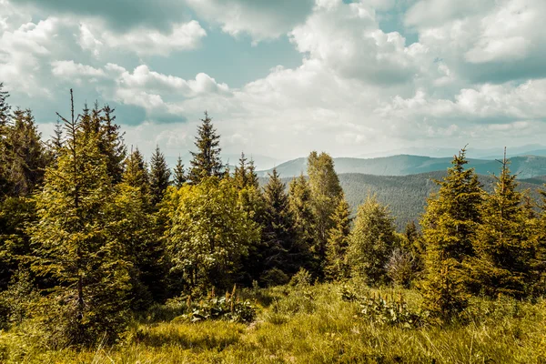 Carpathians 산, 우크라이나 — 스톡 사진