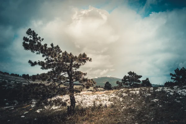 크림 산맥의 아름다운 전망 — 스톡 사진