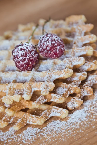 Waffles. — Fotografia de Stock