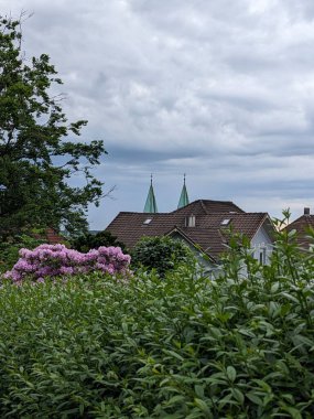 Evin tepesinden ağaçlar ve bitkiler görünüyor..