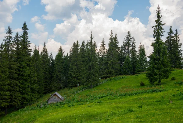 Karpatlar dağlar, Ukrayna — Stok fotoğraf