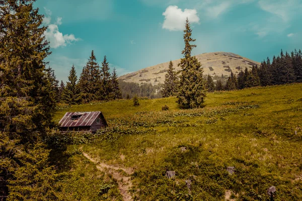 Carpathians mountains, Ukraine — Stock Photo, Image