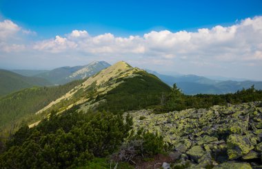 Karpat Dağları 'ndaki manzara