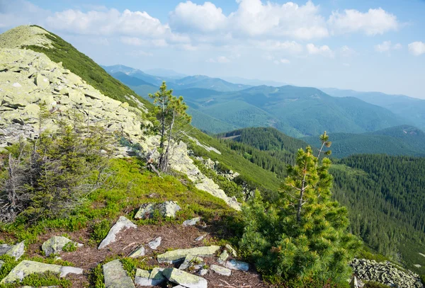 Paesaggio nelle montagne dei Carpazi — Foto Stock