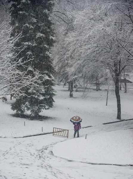 Piękny Zimowy Dzień Parku Miejskim — Zdjęcie stockowe