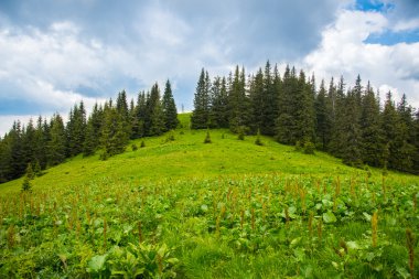 Karpatlar dağlar, Ukrayna