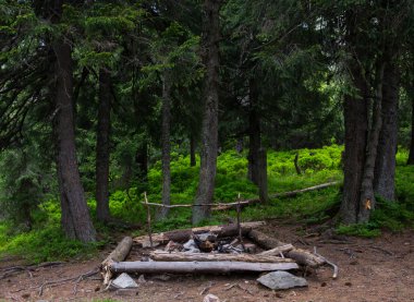 Karpatlar orman yaz, Ukrayna