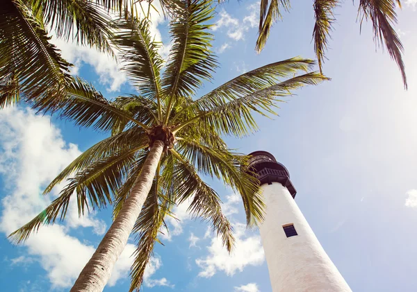 Vuurtoren en tropic palmen — Stockfoto