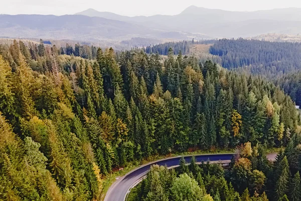 Flygfoto ovanifrån av kurvig bergsväg som går genom tallskogen. — Stockfoto