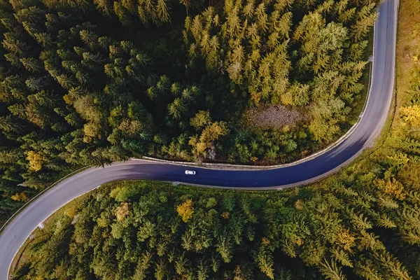 Aerial top view of curvy mountain road goingthroughthe pine forest. — Stock Photo, Image