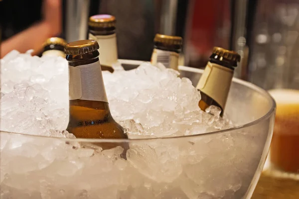 Bottiglie di birra fresca e fredda — Foto Stock