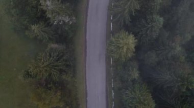 Dağ yolu Tepeden çekilen çam ağaçlarının arasından